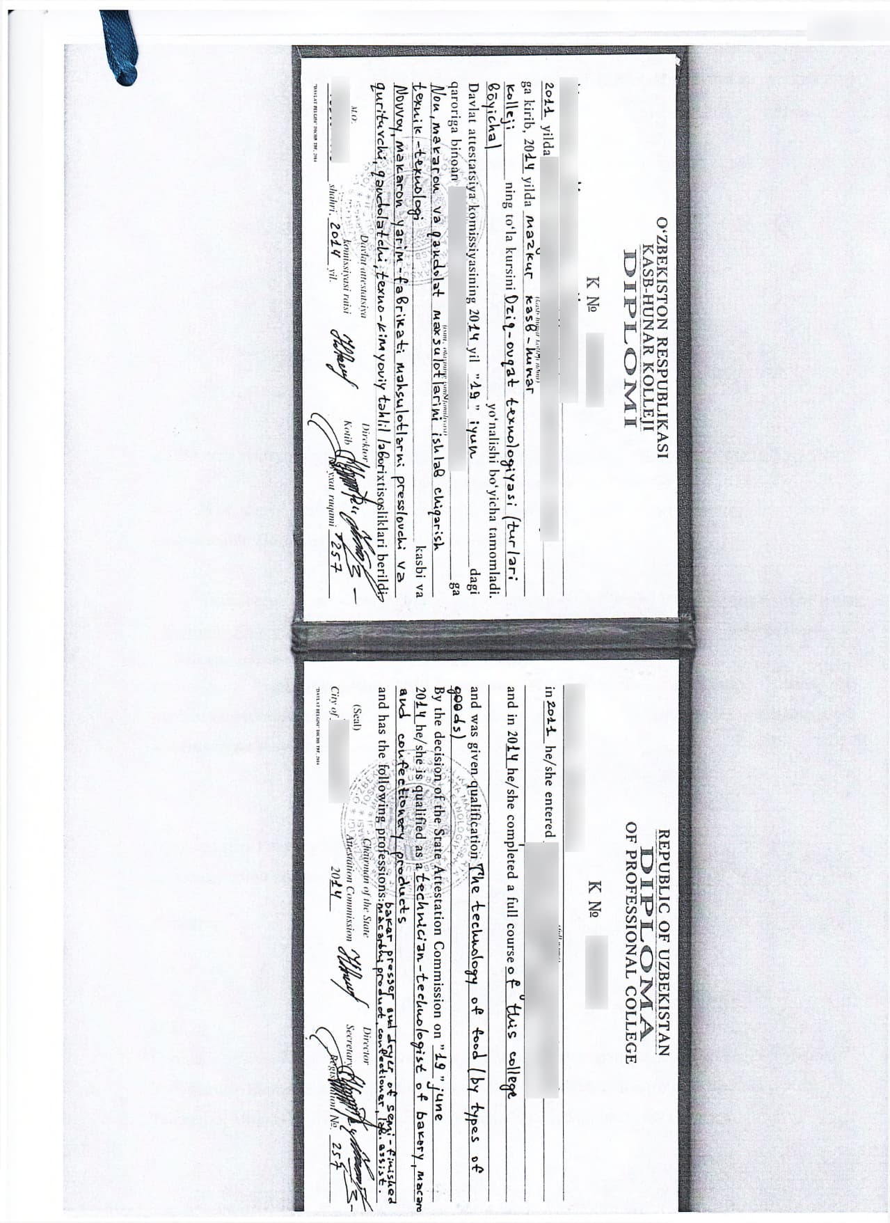 Фото оригинала диплома для нострификации